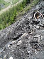Youri - Ecrins 2005 284